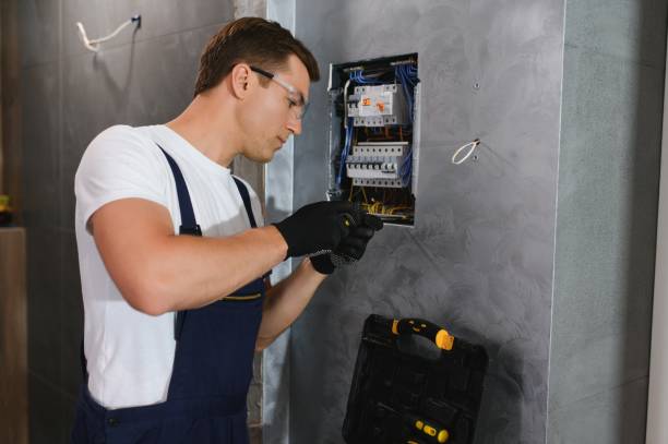 Best Electric Panel Repair  in Long View, NC